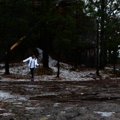 Andrea Alejandra Gallegos