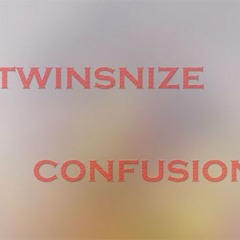 twinsnize