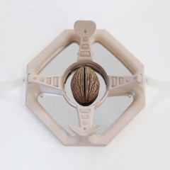 moth.12