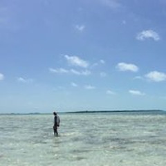 Pamela Bohler Sampson