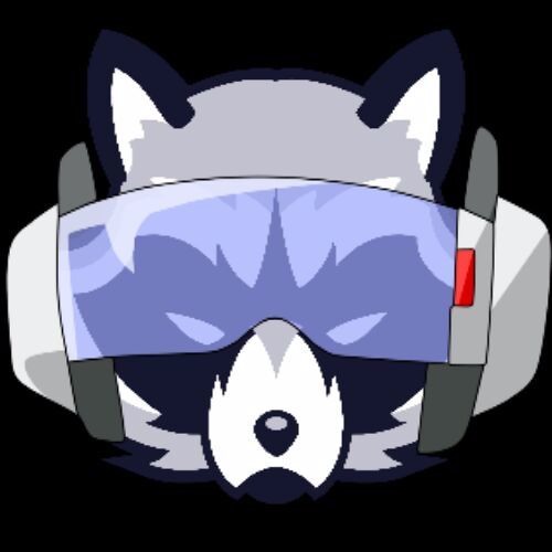 Raccoon RAP’s avatar