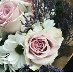 استغفر الله العظيم