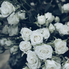 Elham Darwish