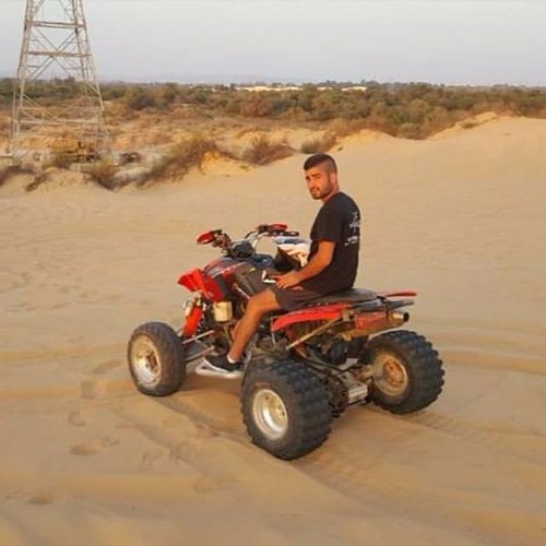 עומר אדם תתן לה פרחים