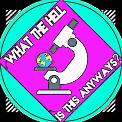 What the Hell is This Anyway?