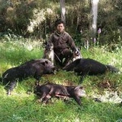 Wiremu Young