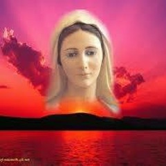 فاروق سامح