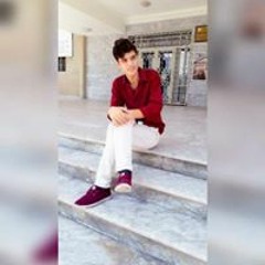 mohammad sarhi
