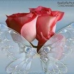 Eman M Najjar