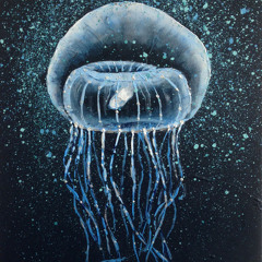 Oceano Gallery