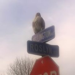 Cut Tha Check Productions 585