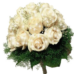 إباء الثائرة