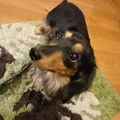 肱岡和俊