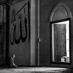 Bassel M. Mostafa