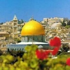 marwa