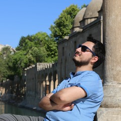 Muhammed Emre Yapraklı