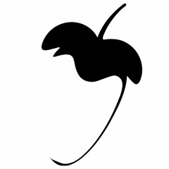 ANONYMOUS▬Beat [☺fficial_S☻unds♫♪]