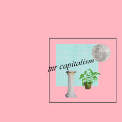 mr capitalism