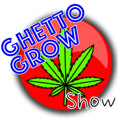 ghetto grow show