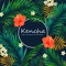 Kencha From the Netherlands