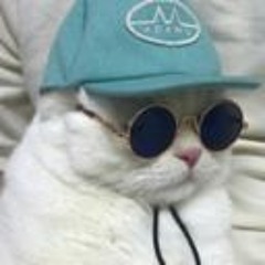 t1r3d