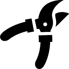 secatyca