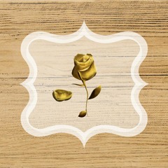 Pétala Dourada Eventos