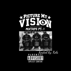 Picture My Vision Ent.