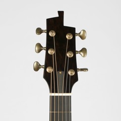 Benjamin Paldacci Guitars