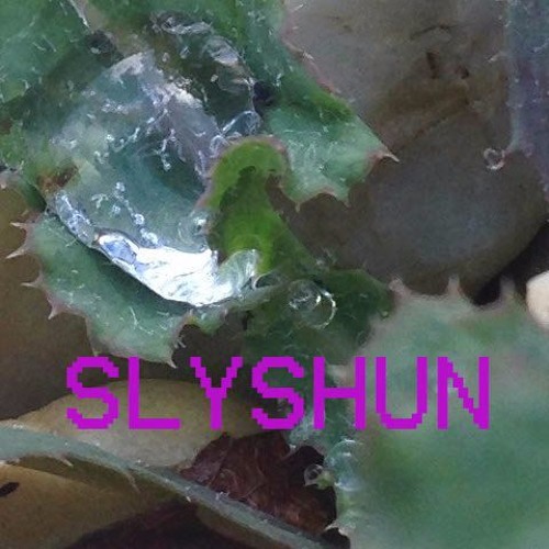 Slyshun’s avatar