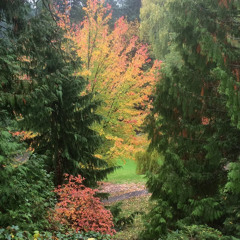 Nikki Sea foxx Vintage