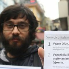 Berk Efe Altınal