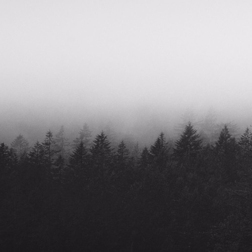 Exetra - 2597 (work.p.)