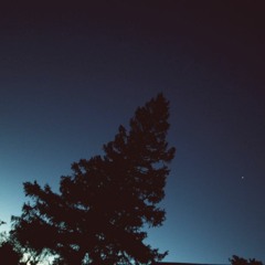 D Tree