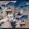 Zoo Vie Gta