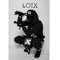 Loix