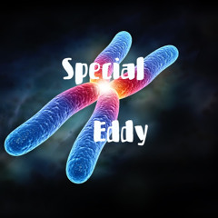Special Eddy