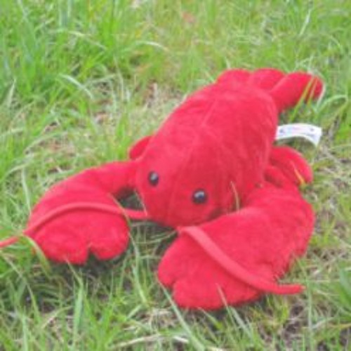 star_lobster’s avatar