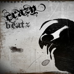 Browntown Brotherz - Crazy Beatz - Remix - Flo Rida feat T-Pain - Low