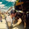 thimo_lpmn