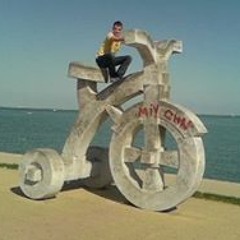 Vince VL