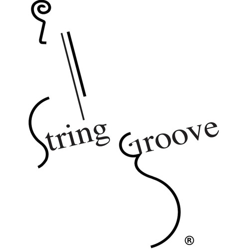 String Groove’s avatar