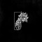 1stOfEleventh