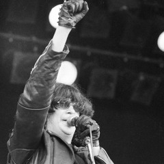 FoxRamone