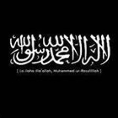 اسامه عبد القادر