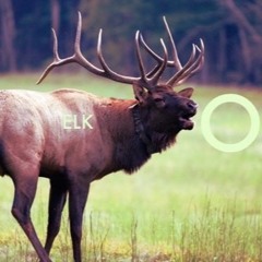 ELKO