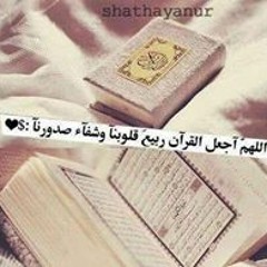 محمد محمود سعد