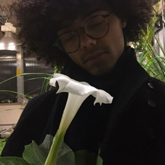 bigworldlittlenoon