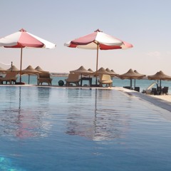 Mohamed Elashry