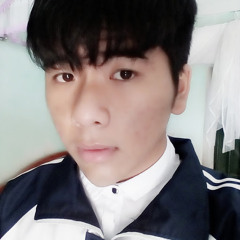 thanhtung vu